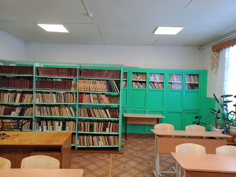 Школьная библиотека