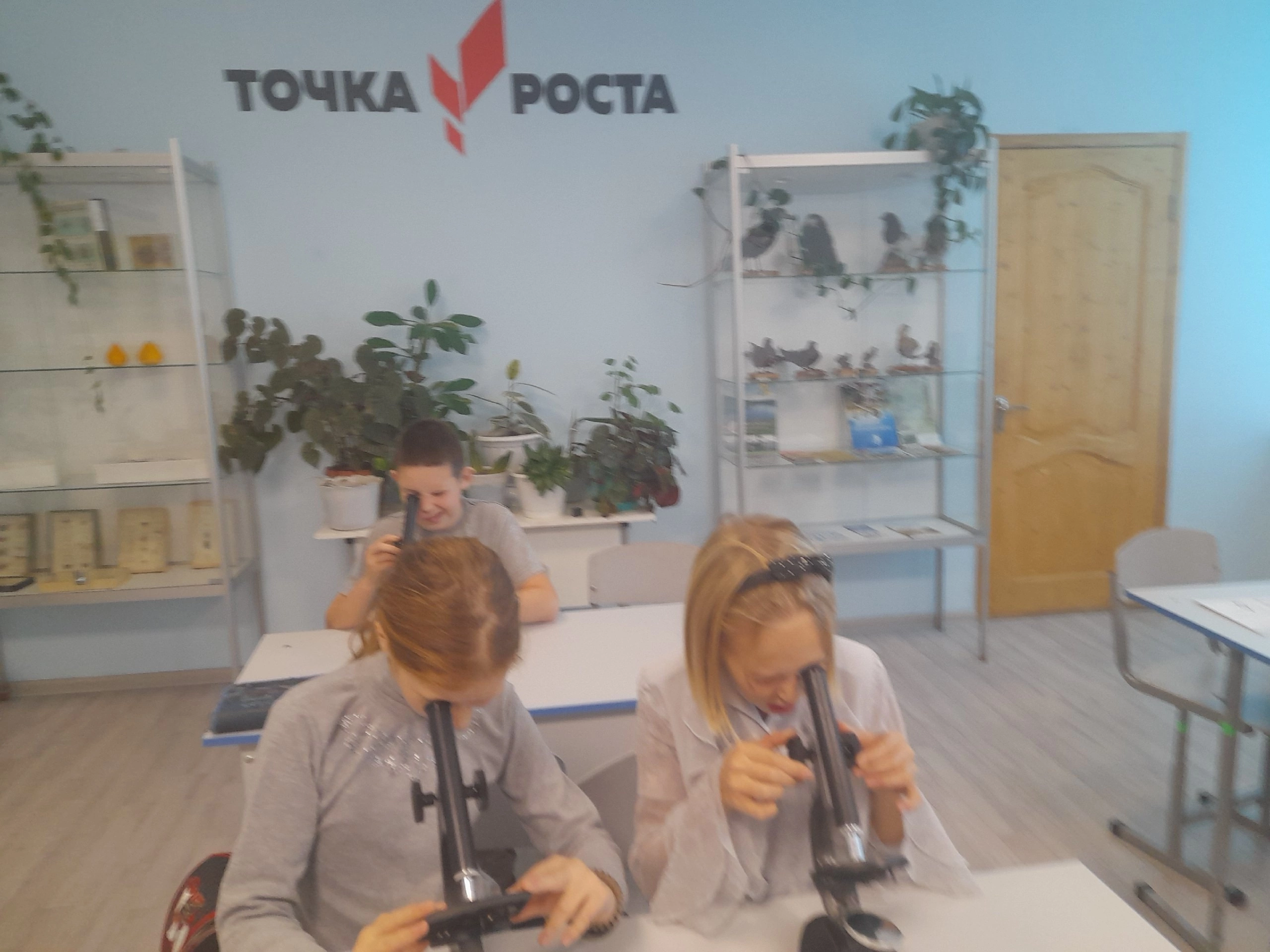 Увеличительные приборы.
